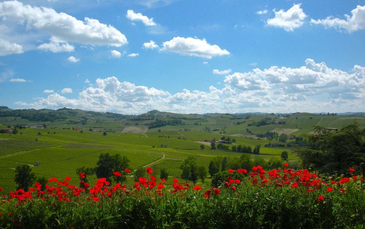 Cascina Tra I Vigneti A Nizza Monferrato Villa Luaran gambar